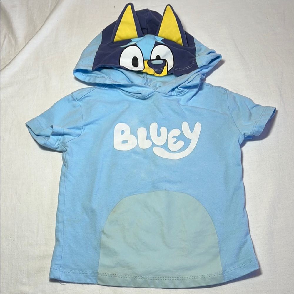 2T Bluey T-shirt, costume
